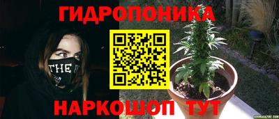 стафф Тула