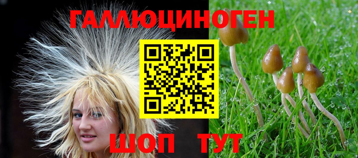 Киржач  Галлюциногенные грибы GOLDEN TEACHER  где можно купить наркотик  Вход с VPN  Галлюциногенные грибы ЛСД 